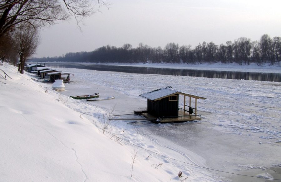 Zale�ena Sava 2012
